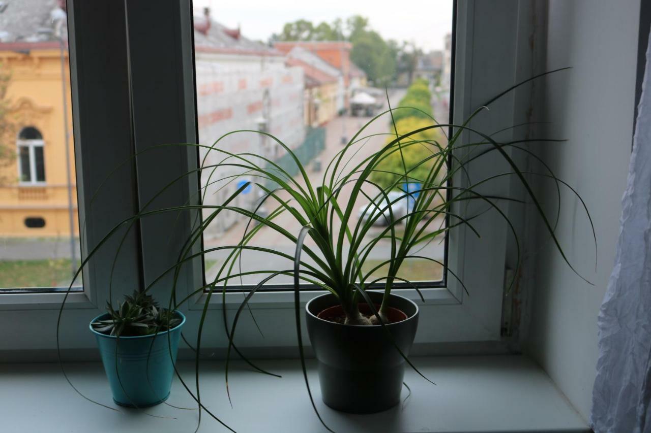 Apartment F6 Osijek Zewnętrze zdjęcie